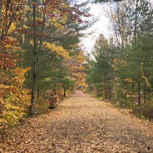 Sustainable Land Trust