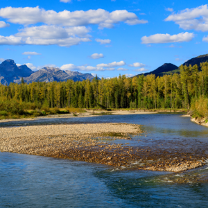 Steelmaking coal mines in the Elk Valley of British Columbia are using microbes to help remove up to 99% of the selenium content from treated water, so it doesn't end up in the local waterways. 