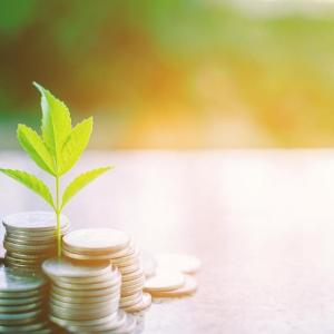 Sustainable Finance