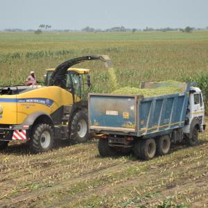 Forage Harvester