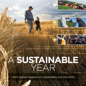 "A Sustainable Year" report cover