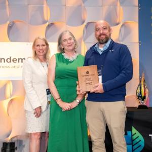 Tandem Global Awards