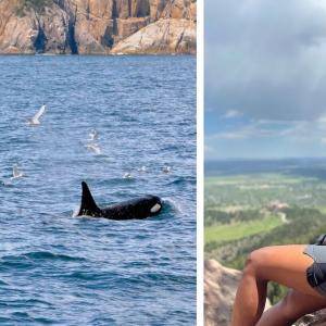 Photo of Tanishq on a mountain and a group of whales.