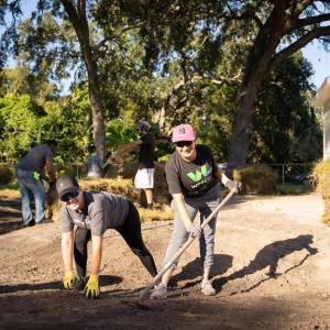 Wesco volunteers raking in the yard.
