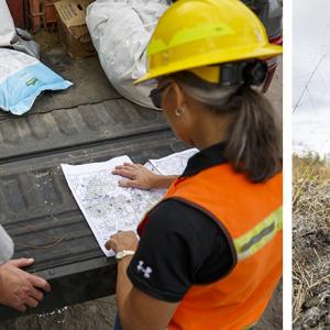 Terri looking at a map laid on the tailgate of a truck as another looks on. On the right a machine plants seedlings.