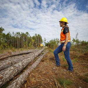 Terri overlooking just harvested trees