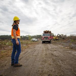 Terri watched as a truck loaded with trees drives towards her