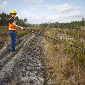 Terri using a pole to measure seedlings