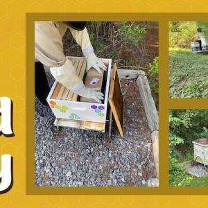 World Bee Day: The Home Depot. Bee house shown. 
