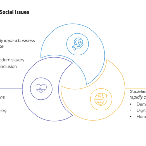 Three Dimensions of Social Issues diagram