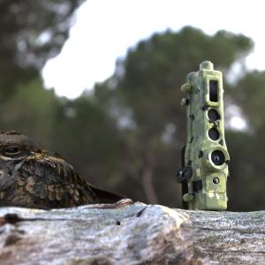 TrailGuard AI camera-alert system