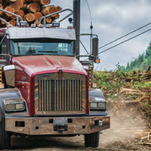 Red truck transporting logs