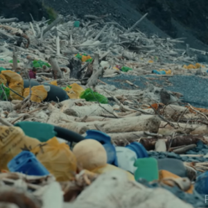 Pile of trash on coastline