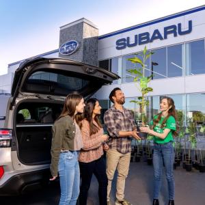 4 people pick up a tree