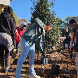 A group of people outside planting trees