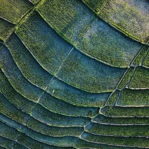 Satellite view of land