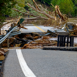 road with hurricane damage