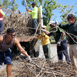 volunteers loading a truck with sticks