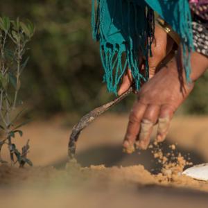 Close up of a person working in soil.