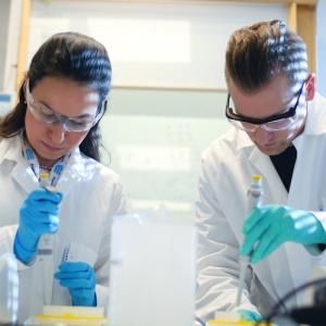 two people working in lab 