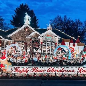 Trevisano Teddy Bear Land, which has raised more than $125,000 in donations for St. Patrick Center since 2004.