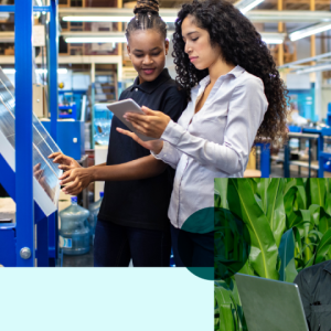 Collage of three images: A person overlooking solar panels in a field, two people building a solar panel and looking at a tablet in a plant setting, and two people in a crop field looking at a laptop.