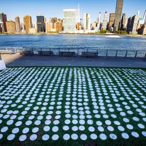 1000 plates placed on the lawn of the UN