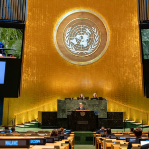 Summit of the Future at the United Nations (UN)