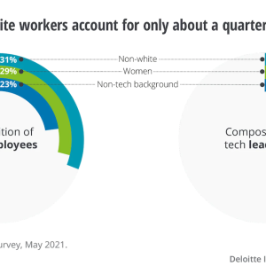 Graph showing women and non-white workers account for only about a quarter of leadership teams