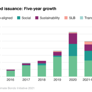 chart showing growth of Green Bonds over last 5 years