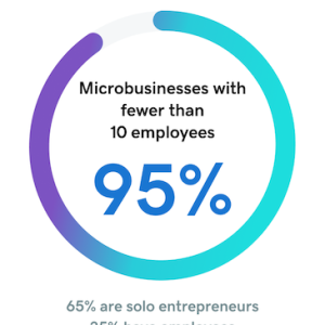 Chart showing small microbusinesses.