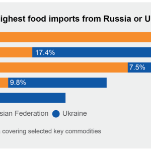 graph of food imports from both Ukraine and Russia