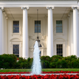 The White House