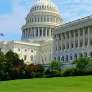 the White House