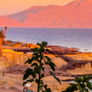 landscape image by the ocean