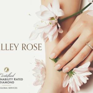 Valley Rose marketing poster