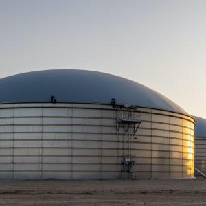 Manure Only Colorado - Photo by John Maciel