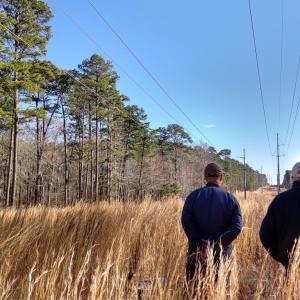 Two people walking through tall grass