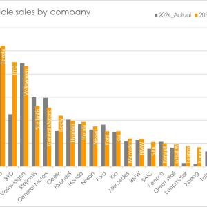 Vehicle sales 2024 and 2030 for selected companies