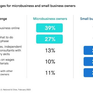 Chart showing the three biggest challenges for microbusinesses and small business owners.