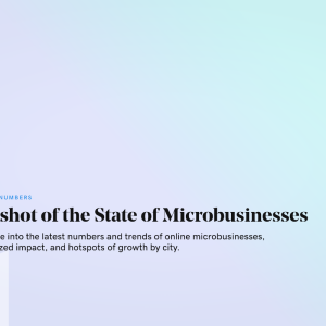 Snapshot of the State of Microbusinesses report cover.