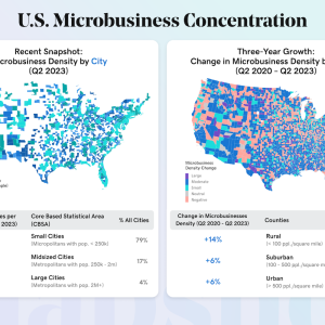 Charts showing U.S. Microbusiness concentration.