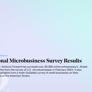 Venture Forward National Microbusiness Survey Results.