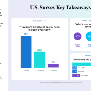 U.S Survey Key Takeaways. Charts showing microbusiness data.