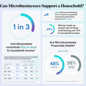 Can a microbusiness support a household.