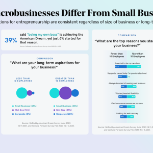 Do microbusinesses differ from small businesses?