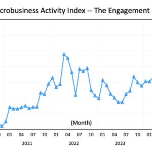 Microbusiness Activity Index -- The Engagement Index