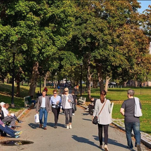 green space with people 