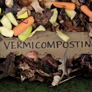 sign reading "vermicomposting" with composting around it