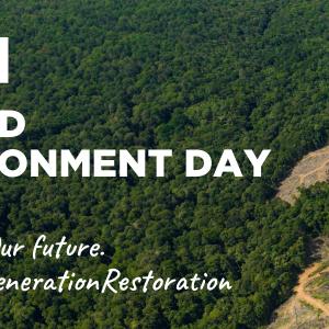Over an aerial view of a wooded area "CNH World Environment Day 2024."